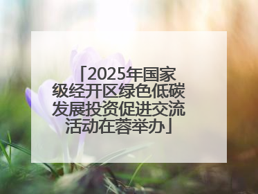 2025年国家级经开区绿色低碳发展投资促进交流活动在蓉举办
