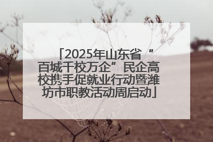 2025年山东省“百城千校万企”民企高校携手促就业行动暨潍坊市职教活动周启动