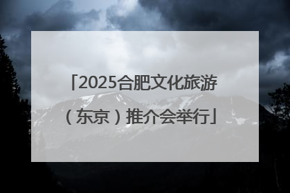 2025合肥文化旅游（东京）推介会举行