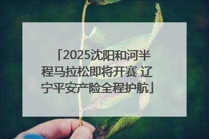 2025沈阳和河半程马拉松即将开赛 辽宁平安产险全程护航
