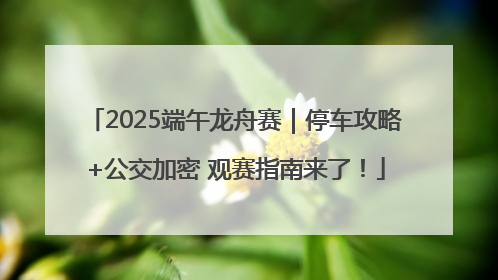 2025端午龙舟赛｜停车攻略+公交加密 观赛指南来了！