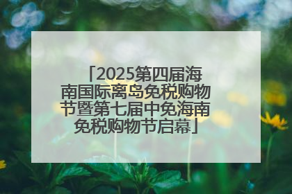 2025第四届海南国际离岛免税购物节暨第七届中免海南免税购物节启幕