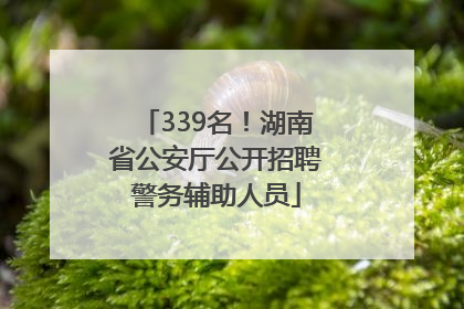 339名！湖南省公安厅公开招聘警务辅助人员