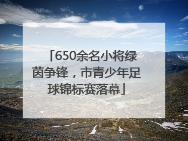 650余名小将绿茵争锋，市青少年足球锦标赛落幕