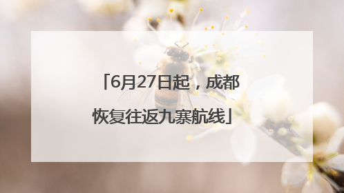 6月27日起，成都恢复往返九寨航线